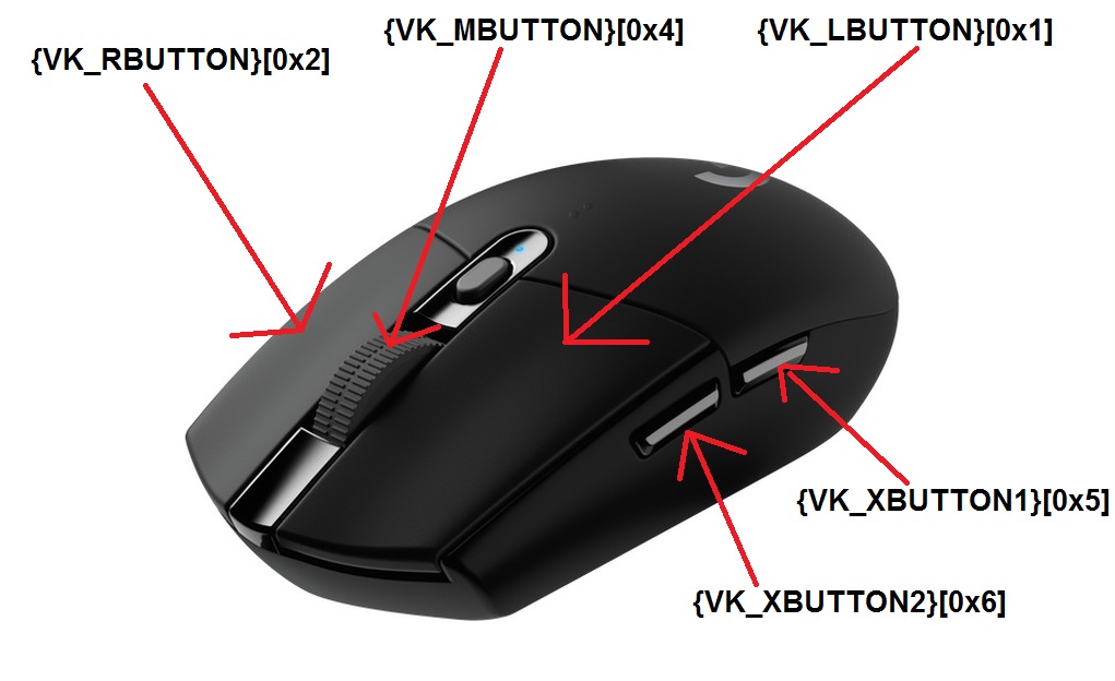 Image of Mouse with Labels