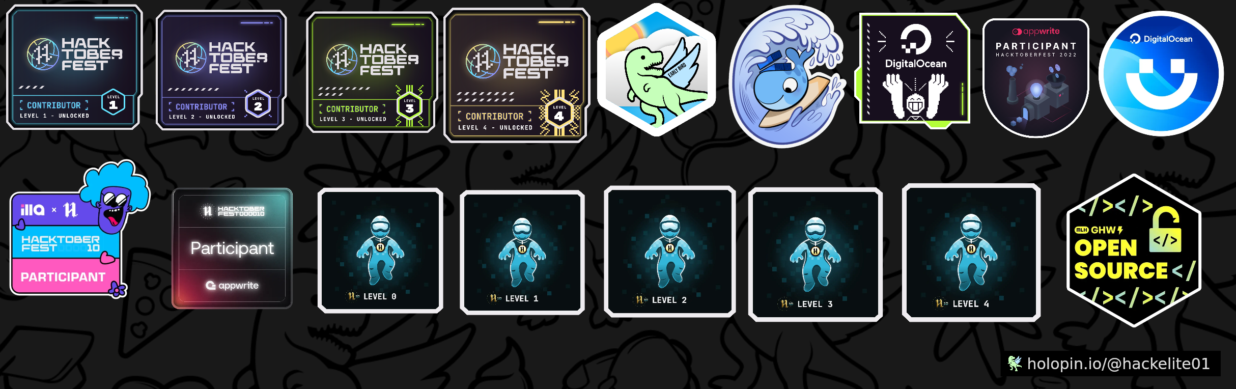 @hackelite01's Holopin Board