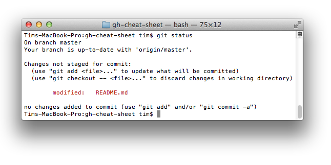 git status