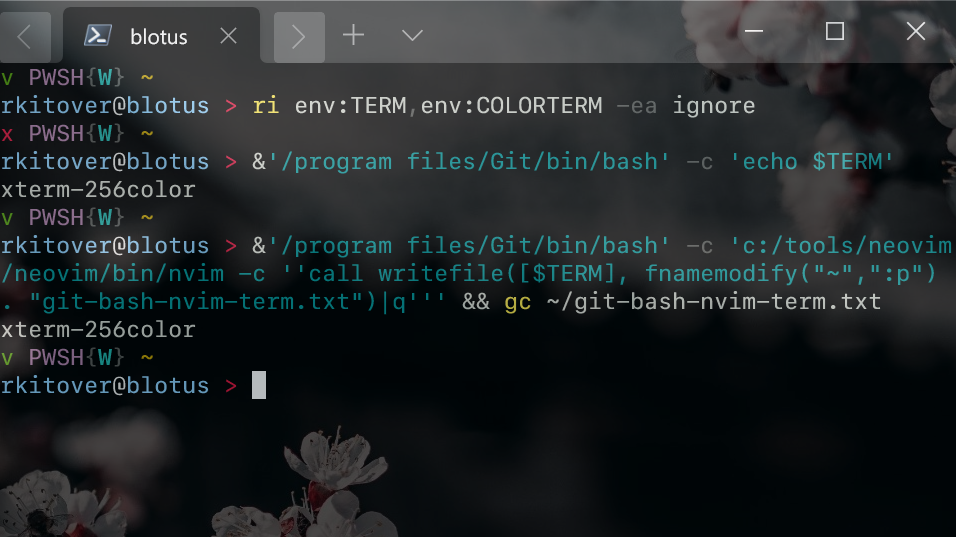 git bash $TERM